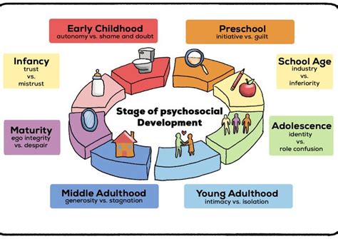 stag developer 4|stages of development psychology.